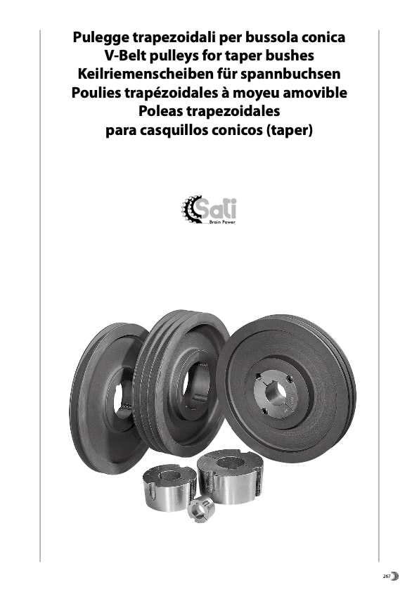 T-PuleggeTrapezoidaliPerBussola