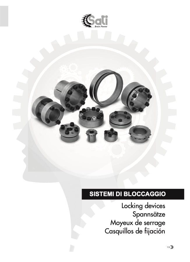 SATI_CatGen_TAPER_2021_WEB_Ott_21