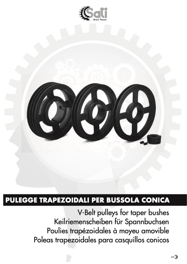 SATI_CatPOLTAPER_2021_WEB_Ott_21